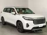 Exeed-VX 2.0T Luxury AWD 7DCT